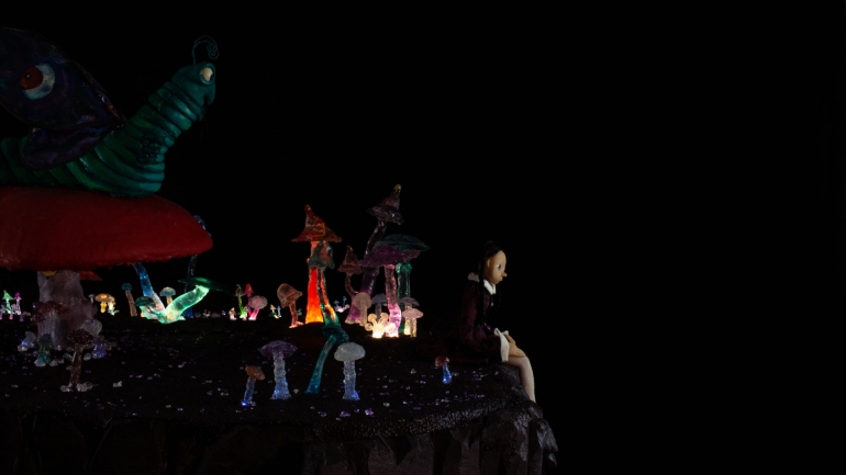in the mushroomland
